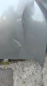 Oto Çıkma Parça / Peugeot / 3008 / Kaporta & Karoser / Kaput / Çıkma Parça 