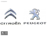 Oto Çıkma Parça / Kaporta & Karoser / Kapı / Peugeot / Partner / Sıfır Parça 