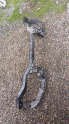 2012-18 FORD C-MAX ÖN PANEL ÇIKMA ORJİNAL