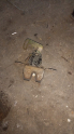 Ford escort hb bagaj kilidi