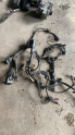 FORD FİESTA 1.25 MOTOR İÇİ TESİSATI
