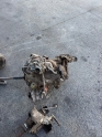 RENAULT 12 TOROS 1.4 KOMPLE MOTOR