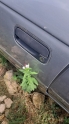 OPEL ASTRA F SOL ÖN KAPI KOLU.OTO ERKAN ÜNYE
