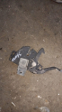 Hyundai Starex kaput kilidi