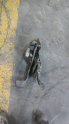 Oto Çıkma Parça / Mekanik / Pedal / Volvo / S60 / Çıkma Parça 