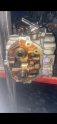 Oto Çıkma Parça / Motor / Silindir Kapağı / Nissan / Maxima / Çıkma Parça 