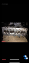 Volkswagen Golf 4 Bora 1.6 8v AKL Silindir Kapağı 06B 103 373A