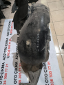Oto Çıkma Parça / Kaporta & Karoser / Davlumbaz / Skoda / Octavia / Çıkma Parça 