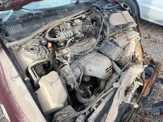 Carina.   Motor.