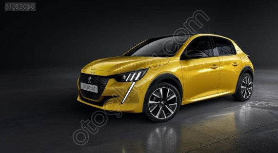 PEUGEOT 208 ÖN CAM -20