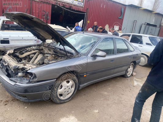 renault safrane