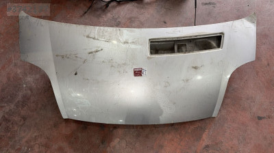 Renault Trafic Kaput **EFE
