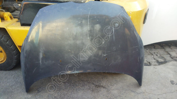 ford fiesta kaput