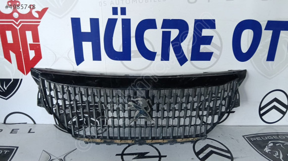 PEUGEOT 3008 ÖN PANJUR
