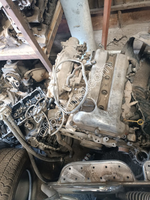Primera 2000 motor