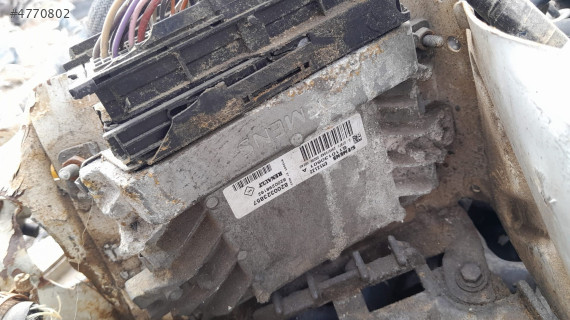 Dacia solenza motor beyni