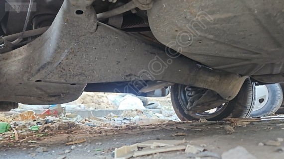 Fiorino dingil