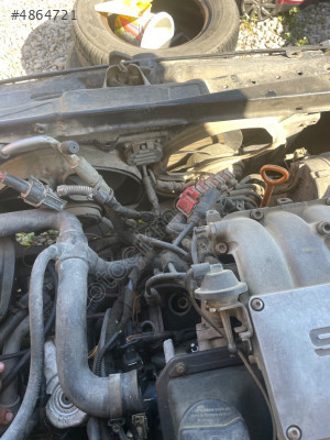 Volkswagen Polo fan