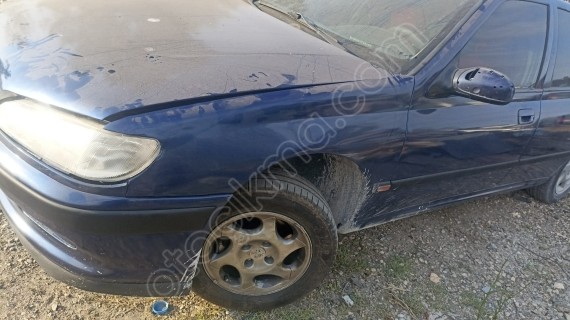 Pejo 406 sol camurluk