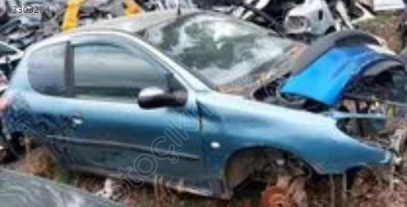 Peugeot 206 cam modülü