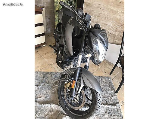 2021 pulsar