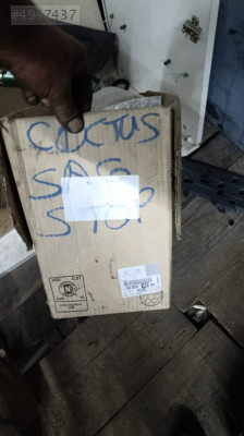 Citroen cactur sağ stop