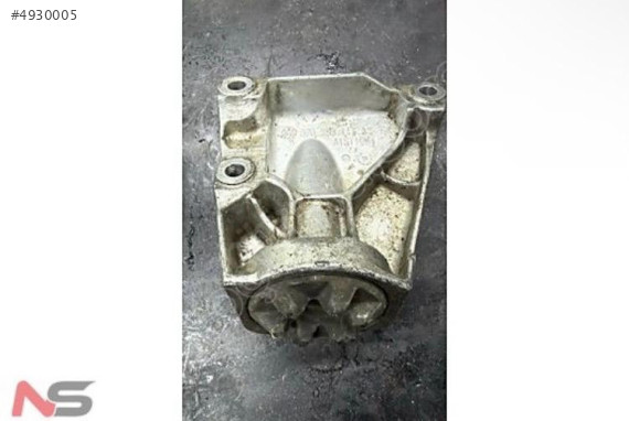 AUDİ  ŞANZIMAN KULAĞI