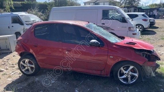 Peugeot 206 kapı camları