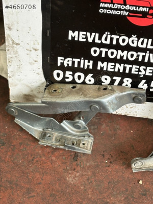 Tipo Kaput Menteşesi