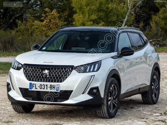 PEUGEOT 2008 ÖN CAM 19-