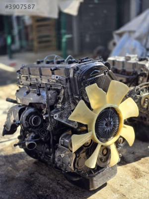 Sterex Motor