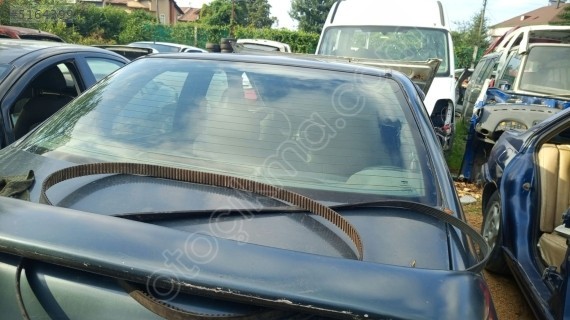 Fiat Siena arka cam