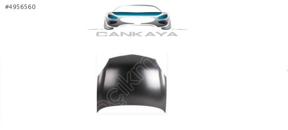 FLUENCE MOTOR KAPUTU (EAGLEBODY) 10