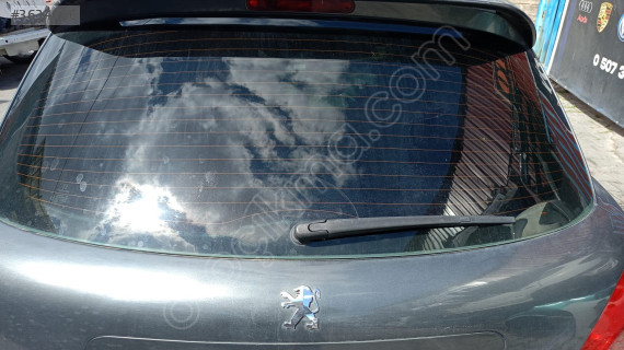 peugeot 207 arka cam
