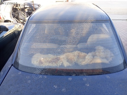 Lada Vega arka cam