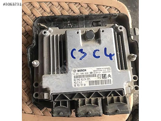 C4 motor beyni