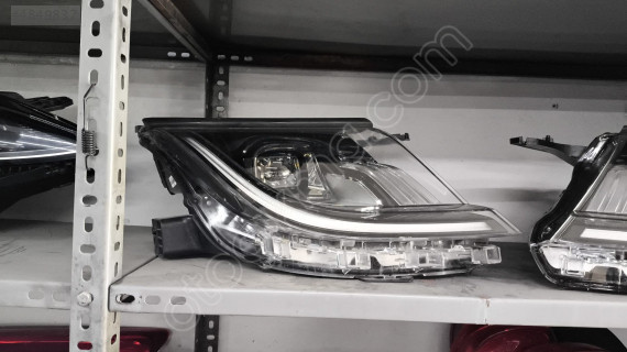 BYD Dolphin Sağ Ön Far