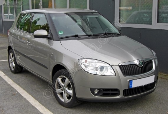 SKODA FABIA II ÖN CAM