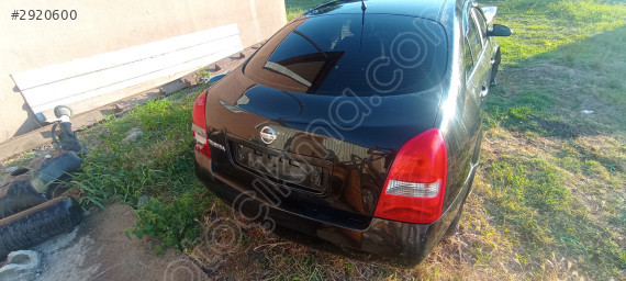 Nissan Primera bagaj kapağı