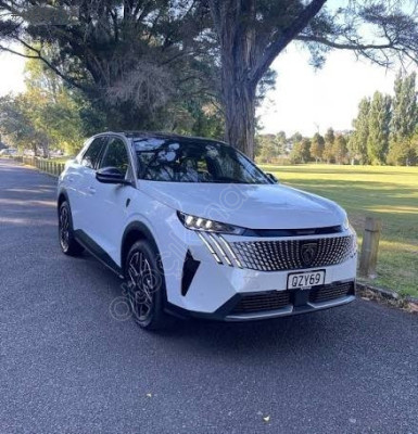 PEUGEOT 3008 24- ÖN CAM