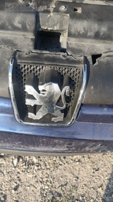 Peugeot 406 aslan armasi