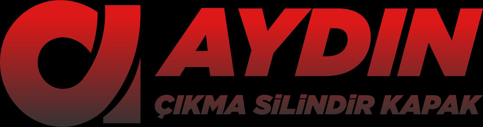 AYDIN ÇIKMA KAPAK