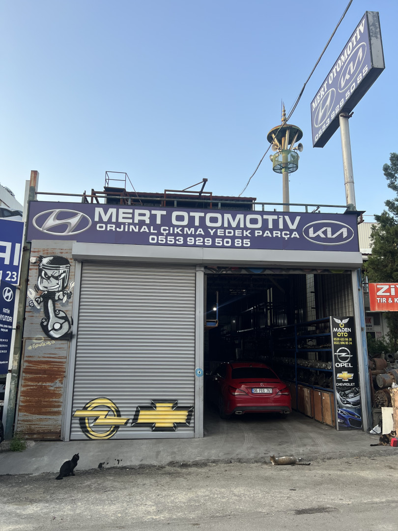 MERT OTO ÇIKMA